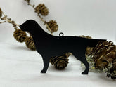 Ophæng med Flatcoated Retriever